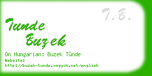 tunde buzek business card